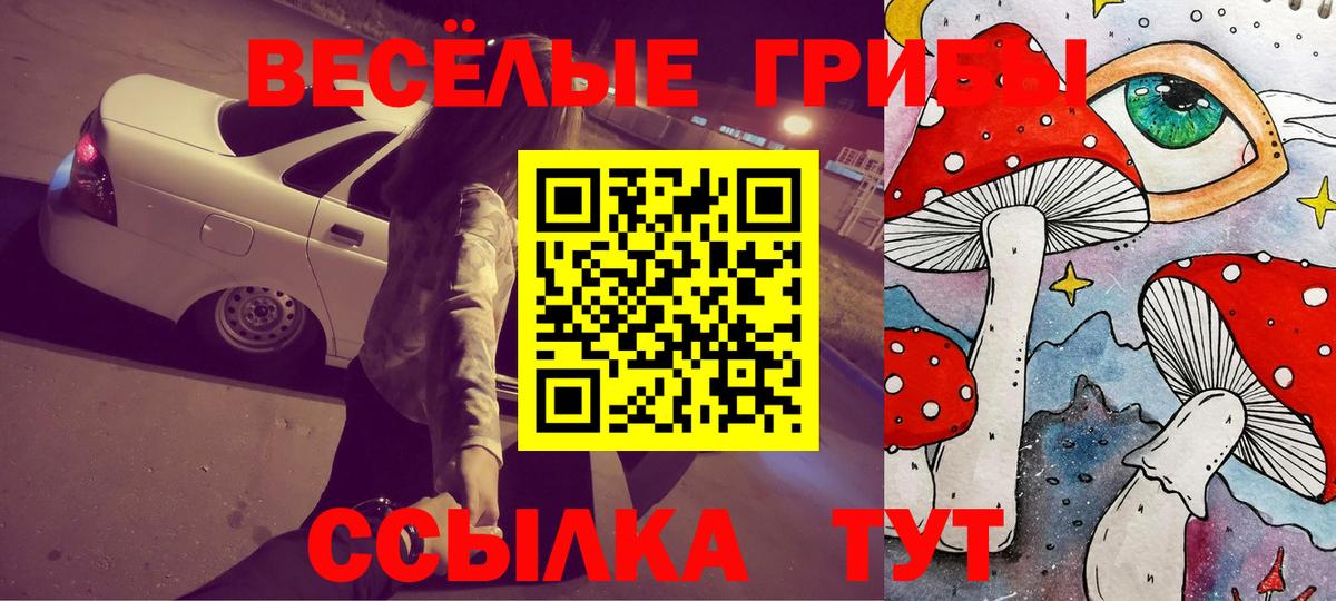 Псилоцибиновые грибы Magic Shrooms Якутск
